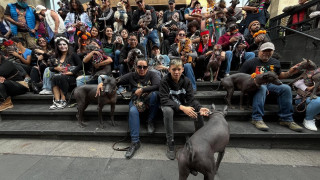 ORGANIZA AUTORIDAD DEL CENTRO HISTÓRICO  CAMINATA HACIA EL MICTLÁN